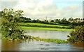 The Bann in flood (2)