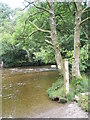 Water level gaugeboard at Tarr Steps