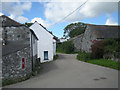 Lane through Rosenithon