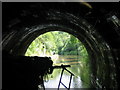 Union Canal, exiting Falkirk Tunnel at Glen Village