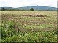 Harvested field near Birdsend