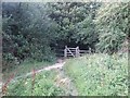 Jenny Bare Legs, Gate to Gorings Mead