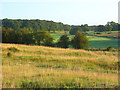 SU4870 : Farmland, Curridge by Andrew Smith