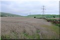 Farmland near Bincombe