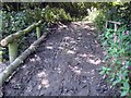 Muddy bridge crossing.