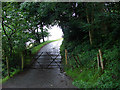 Cattle gate on the lane to Cwmerfyn