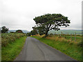 Lane between Pen-rhiw-newydd and Penrhyn-coch