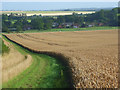 Farmland, Beckhampton