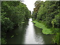 River Mole in East Molesey (1)