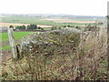 NJ9324 : View over the recumbent of Hill of Fiddes Stone Circle by Ewen Rennie