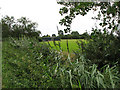 Shed belonging to Moregrove Farm