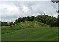 Ancient Mound at West Halton