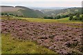 Nant yr Helyg from the Man-moel Road