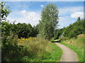 Footpath, Clincton Wood Local Nature Reserve