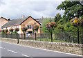 Roadside flowers, Bovey Tracey