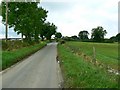 The road to Nympsfield