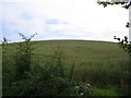 McCubbins Hill on Dunskey Estate