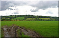 Fields near Blaendyfod, Trelech a