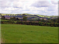 Field bank near Parcdelyn, Meidrim