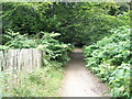 Footpath running adjacent to Tilford Road