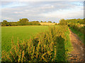 Bridleway to New Way Lane