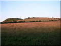 TQ2813 : Iron Age Fort, Wolstonbury Hill by Simon Carey