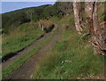 Cattle grid on farm road