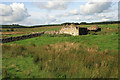 A ruined building at Caulside.