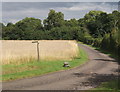 Track towards Rede Wood from Red Barn Farm