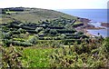 Hedged Allotments, Porthcressa, St. Mary