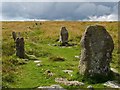 SX6782 : Stone Row on Chagford Common by Mike White
