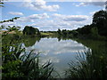 Crockwell Pools