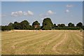 Looking across fields at Belle Vue and Windy Nook, South Wonston