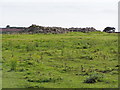 NO8890 : Cantlayhills Cairn from Farm by Ewen Rennie
