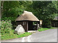 Litton Cheney: thatched bus shelter