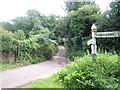 Looking down lane to West Luccombe