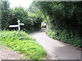 Looking towards Hawkcombe