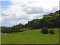 Pasture below Walter