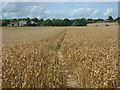 Farmland, Prestwood