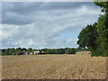 Farmland, Prestwood