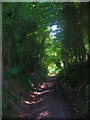 Bridleway near Burlough Castle