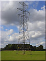 Pylon in pasture, Great Kingshill