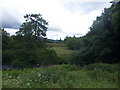 View from Kindrogan lawn