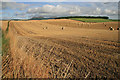 Farmland at Longnewton