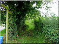 Footpath to the A49