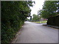 TQ4570 : Foxbury Avenue, Chislehurst by Geographer