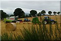 Harvest Scene near Padanaram School (Disused)