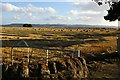 Harvest Scene near Fletcherfield Farm with Craigowl Hill in the background