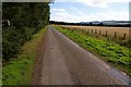 Country Road near Battledykes Cottages, Angus