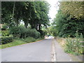 Looking back down Winchester Road to Chawton